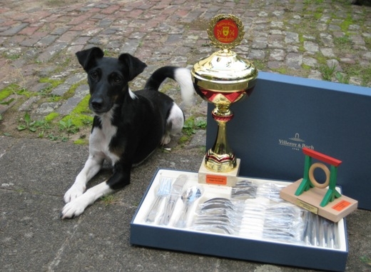 Dark Tes v. d. drei Eichen ist die stolze Fischerfest-Pokal-Siegerin 2011 in Gernsheim!